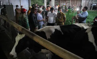 Bupati Ponorogo Ngantor di Kecamatan Pudak untuk Tangani Wabah PMK