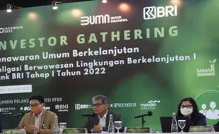 BRI Terbitkan Green Bond, Catat Tanggal Penawaran Perdananya