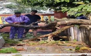 Puting Beliung Terjang 3 Kecamatan di Klaten, Ini Lokasinya