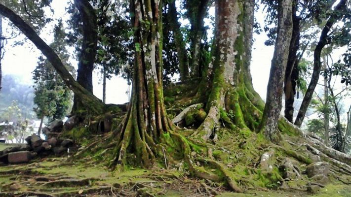 Situs Kuno dan Keramat, Tapi Kurang Terkenal di Lereng Gunung Lawu