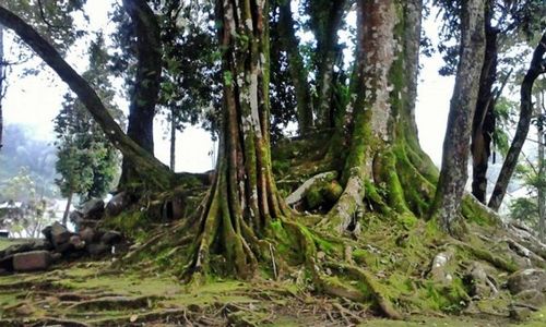 Situs Kuno dan Keramat, Tapi Kurang Terkenal di Lereng Gunung Lawu