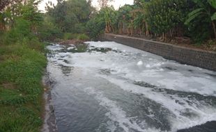 Lah! Air Sungai di Karangdowo Klaten Mendadak Berbusa, Banyak Ikan Mati