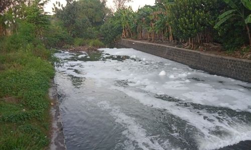 Terkuak! Penyebab Air Sungai Berbusa di Karangdowo Klaten