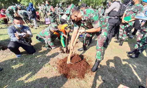 Wah, Ada 1.000 Pohon Eucalyptus di Urban Forest Solo Peninggalan Jokowi