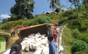 Truk Terguling di Tanjakan Ngrayun Ponorogo, Muatan Porang Ngglundung