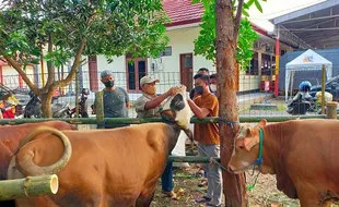 Disnakkan Grobogan: Jangan Cuci Jeroan Hewan Kurban di Sungai, Kenapa?