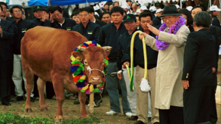 Kisah Pendiri Hyundai, Curi 1 Ekor Sapi Lalu Kembalikan 1.000 Ekor Sapi