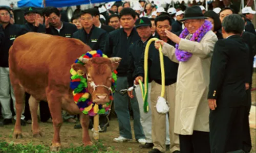 Kisah Pendiri Hyundai, Curi 1 Ekor Sapi Lalu Kembalikan 1.000 Ekor Sapi