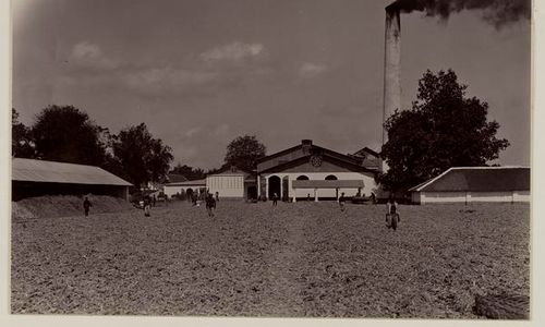 Pulau Jawa Diguncang Gempa Dahsyat 1937, Hancurkan Pabrik Gula