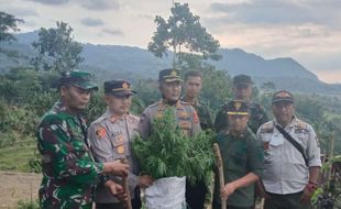 Sakral dan Keramatnya Gunung Karuhun yang Dijadikan Ladang Ganja