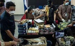 BNN Sita Tiga Kuintal Narkotika dalam Sebulan, Tangkap 22 Tersangka