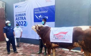 Astra Bagikan Ribuan Hewan Kurban Jelang Iduladha, Total Rp22,11 Miliar