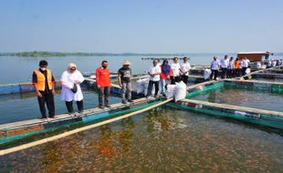 Sebelum Jual Paket Kemukus-Boyolayar, Ini Yang Dilakukan Pemkab Sragen