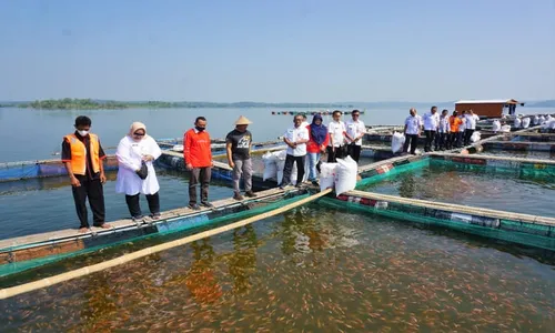 Sebelum Jual Paket Kemukus-Boyolayar, Ini Yang Dilakukan Pemkab Sragen