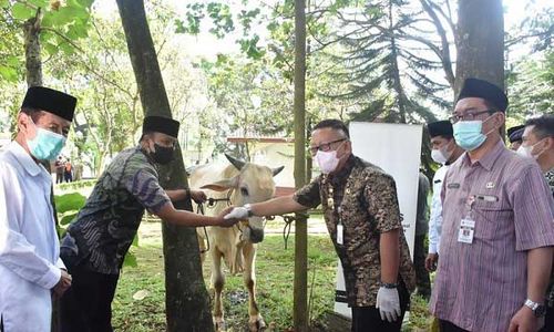 Mantap! Daging Kurban di Salatiga Disalurkan Berbentuk Rendang & Kornet