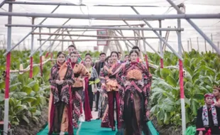 Viral Citayam Fashion Week, Disusul Peragaan Busana di Kebun Tembakau