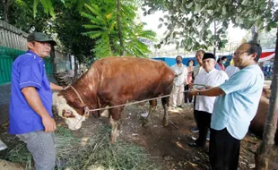 Hukum Berkurban Pakai Uang Utang atau Pinjaman, Baca Dulu Biar Gak Bingung!