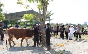 Polres Sukoharjo Salurkan Belasan Hewan Kurban ke Ponpes dan Masjid