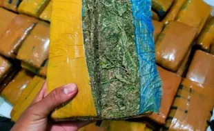 Tangkap Pengedar, Polisi Bongkar Modus Simpan Ganja di Kotak Biskuit