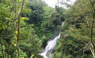 Rekomendasi Air Terjun Eksotis di Ponorogo, Cocok Buat Healing