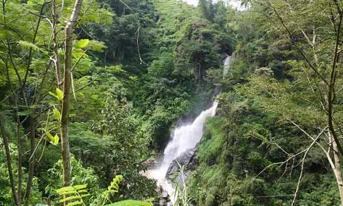 Nasib Objek Wisata di Ponorogo, Tak Berpengunjung Gegera Kotoran Sapi