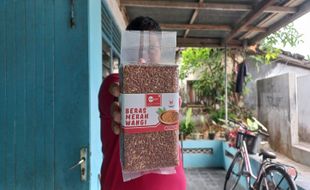 Petani Muda Asal Wedi Klaten Kembangkan Beras Merah