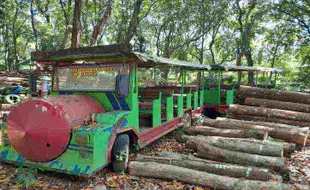 Pandemi Covid-19 Bikin Wisata Hutan Kota Kaki Gandul Wonogiri Bangkrut