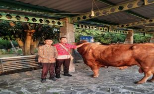 Hukum Patungan Berkurban Sapi saat Hari Raya Iduladha Menurut Pandangan NU