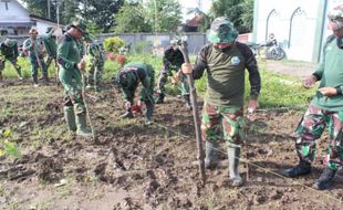 Kodim Klaten Tanam Jagung di Lahan 4.200 Meter Persegi, Ini Targetnya