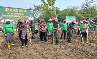 Pemulihan Ekonomi, Lahan Eks Batalyon 410 di Grobogan Ditanami Jagung