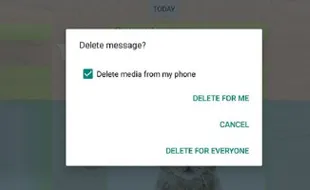 Kini Hapus Pesan di Aplikasi WhatsApp Butuh Waktu Dua Hari