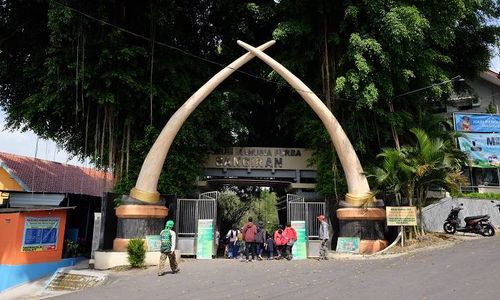 Rekomendasi Museum di Jawa Tengah, Nomor 4 Situs Warisan Dunia UNESCO