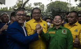 PAN Berharap Pergantian Ketum PPP Tak Pengaruhi KIB