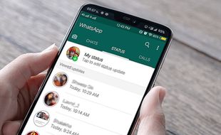 Begini Cara WhatsApp Tidak Terlihat Online dan Mengetik