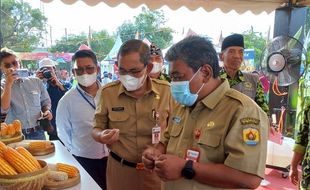 NK Festival Syngenta, Ajak Petani Jateng Melek Teknologi dan Lebih Sejahtera