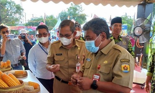 NK Festival Syngenta, Ajak Petani Jateng Melek Teknologi dan Lebih Sejahtera