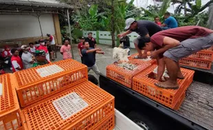 Protes Harga Mahal, Peternak Karanganyar Bagikan Ayam dan Telur Gratis