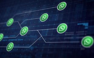 10 Keunggulan Whatsapp API dalam Dunia Bisnis