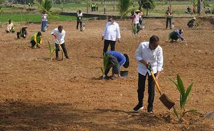 Jokowi Tanam Kelapa Genjah Bersama Petani di Ngemplak Boyolali