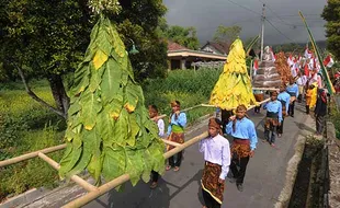 Kirab Gunungan Tembakau & Bendera, Wujud Syukur Petani di Boyolali