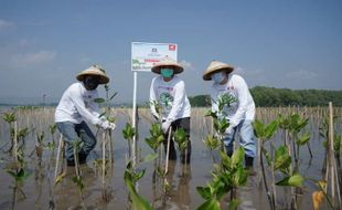 Tutup Rangkaian HUT ke-52, Astra Motor Tanam 10.000 Mangrove