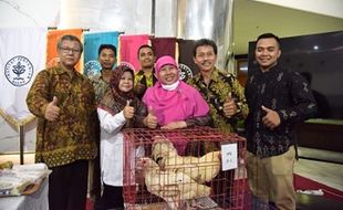 IPB Kembangkan Ayam Pedaging D1, Ini Keunggulannya