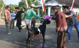 Uniknya Bersih Desa di Madiun, Sembelih Kambing Kendit untuk Tolak Bala