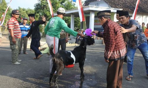 Uniknya Bersih Desa di Madiun, Sembelih Kambing Kendit untuk Tolak Bala