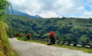 View Merapi, Wisata Alam Gobumi Boyolali Bak Negeri di Atas Awan