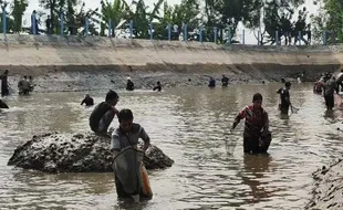 Peringati HUT ke-77 RI, Begini Keseruan Gogoh Iwak di Embung Ngasinan Semarang