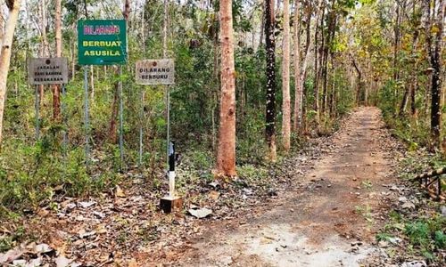 Hadeh, Hutan di Gunungkidul Ini Kerap Jadi Tempat Mesum Orang Pacaran