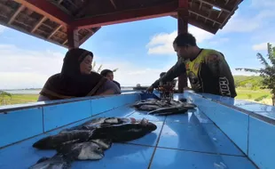 Hasil Tangkapan Ikan Turun, Banyak Nelayan WGM Wonogiri Alih Profesi