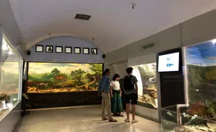 Museum Manusia Purba Sangiran Mulai Ramai, Sehari Bisa 200 Pengunjung