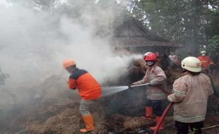 Korsleting, Kandang Sapi Milik Warga Sragen Hangus Terbakar